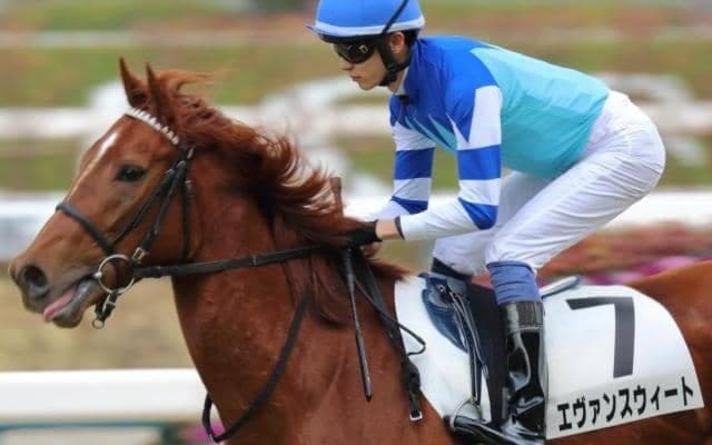 3月4日は3姉妹の日 史上初の“3姉妹GI制覇”が期待できる馬は？