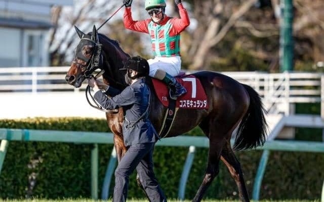 【弥生賞】売上は90億5305万3900円で昨年より約8億円増加