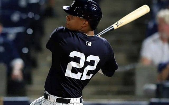 大谷翔平を“超える”異次元OPS2.207！ ヤ軍主砲ソトに辛口NYメディアも「畏敬の念を抱かせる」と絶賛