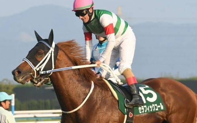 【船橋・ダイオライト記念枠順】巻き返し期すセラフィックコールは1枠1番