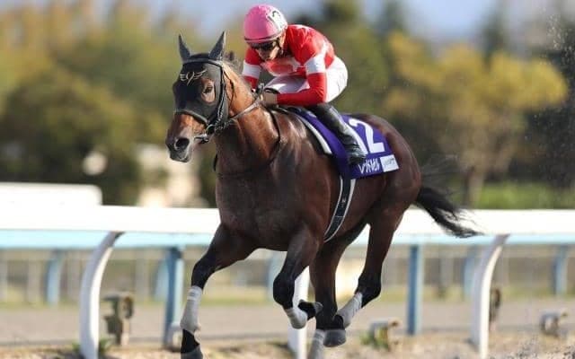 【先週のJRA抹消馬】21年のJBCスプリント制したレッドルゼル、“アイドルホース”として愛されたアフリカンゴールドなど