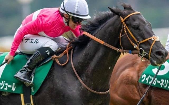 冬競馬でインパクト残した“豪州の名手” その活躍ぶりに「是非また来てほしい」