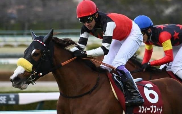 セールではわずか「350万円」 セリの評価を覆して、いざ桜の舞台へ