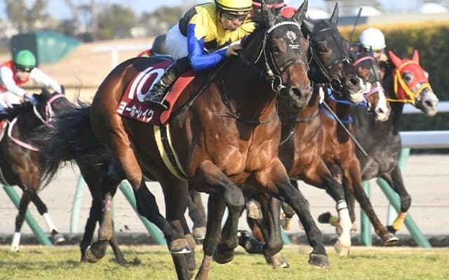 金鯱賞で大記録樹立なるか 21世代の素質馬が中783日の休み明け重賞Vに挑む