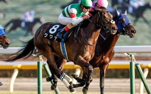 【中山牝馬S展望】ククナの重賞初制覇を期待