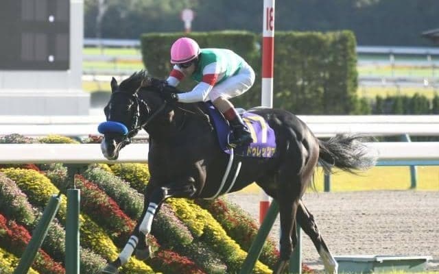 【金鯱賞予想オッズ】ドゥレッツァが予想1番人気