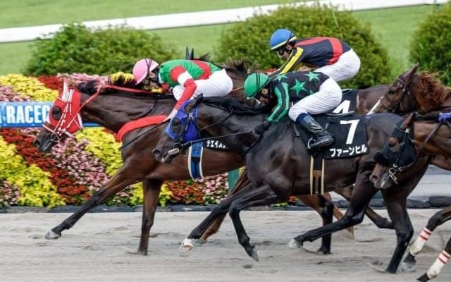 レース名につく「ステークス」と「特別」 2つの間に存在する“違い”とは