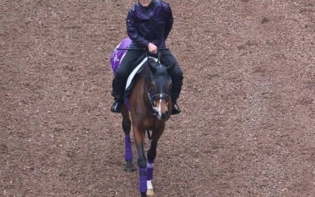 ディヴィーナなど、先週の入厩情報/栗東トレセンニュース