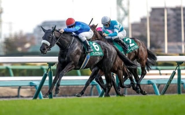 【中山牝馬S予想オッズ】フィアスプライドが予想1番人気
