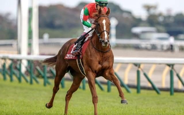 【フィリーズレビュー予想オッズ】コラソンビートが予想1番人気