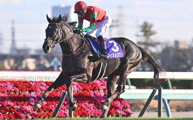 【阪神SJ予想オッズ】マイネルグロンが予想1番人気