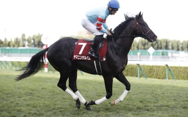 【金鯱賞展望】好走条件揃ったヤマニンサルバムの重賞連勝を期待