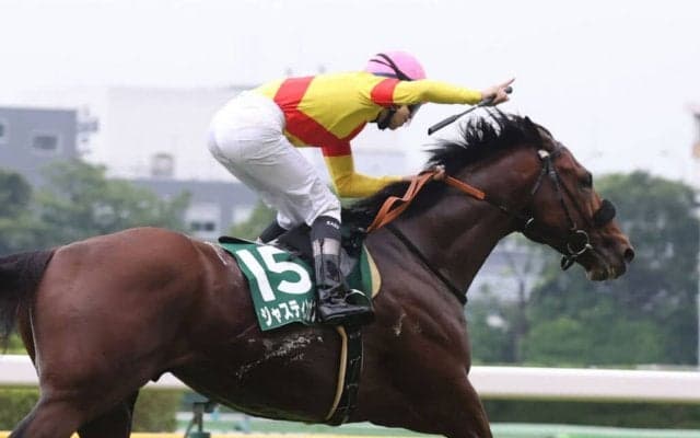 ジャスティンカフェの競走馬登録抹消