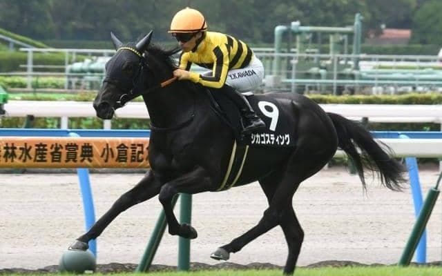 【フィリーズレビュー予想】AI推奨馬はGIで健闘の実績 臨戦過程と馬格がジャッジのポイントに