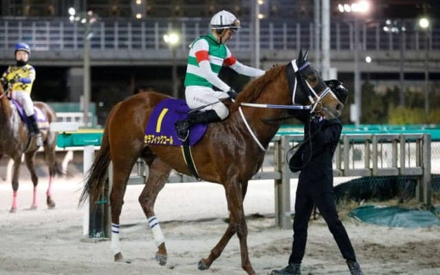 【ダイオライト記念】ムルザバエフ「気性面での成長感じた」セラフィックコールが重賞2勝目