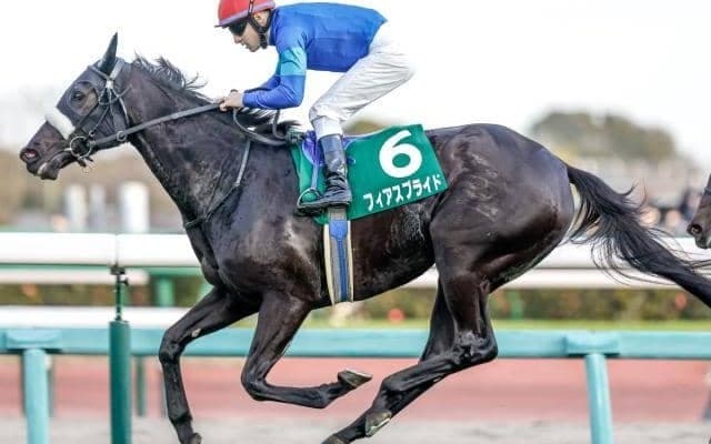 【中山牝馬S出走馬・騎手確定】フィアスプライド＆C.ルメール騎手、ククナ＆戸崎圭太騎手など16頭