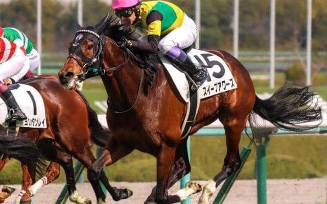 ディープインパクトとスイープトウショウ最後の仔 武豊騎手と連勝なるか