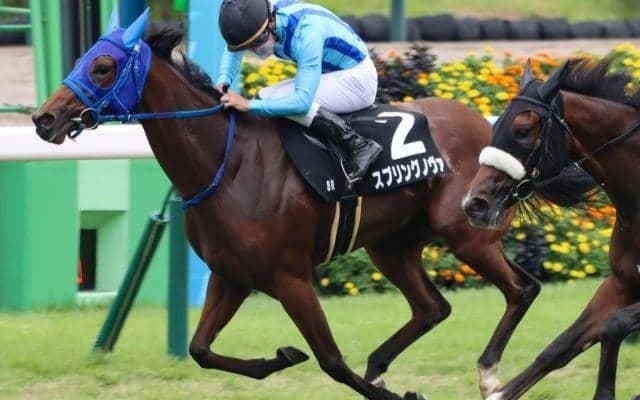 400kgに満たない“小さな根性娘” アネモネSで桜切符獲得なるか