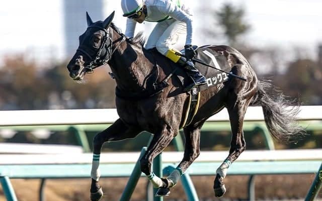 中内田厩舎から障害界の新星誕生か ディープインパクト産駒が阪神SJで重賞初制覇狙う