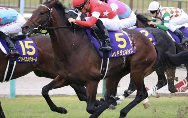 ディープ産駒の“再生工場”小林真也厩舎 21年京都新聞杯覇者で金鯱賞参戦