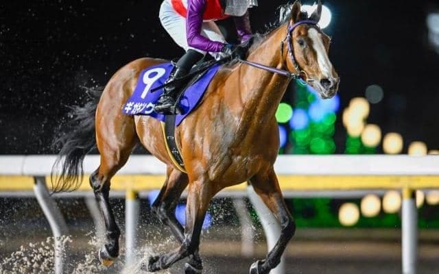 【船橋・京成盃グランドマイラーズ結果】ギガキングが好位から抜け出し重賞7勝目を挙げる