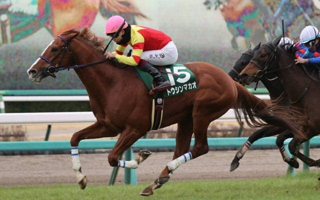 【オーシャンS】トウシンマカオが重賞を連勝