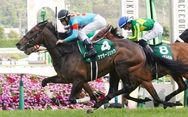アナザーリリックの競走馬登録抹消…繁殖入り