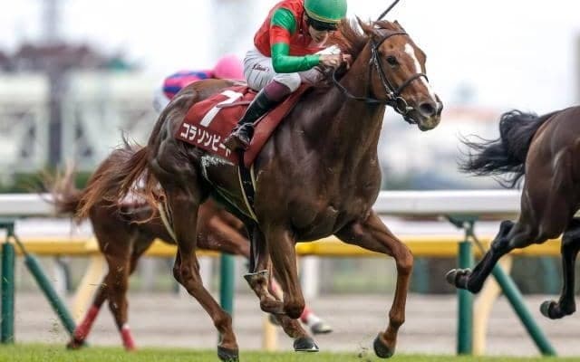 【フィリーズレビュー枠順確定】コラソンビートは1枠1番、シカゴスティングは4枠6番