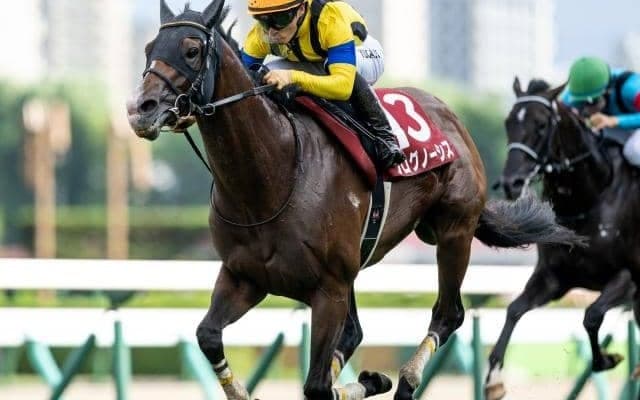 【金鯱賞枠順確定】プログノーシスは4枠4番、ドゥレッツァは3枠3番