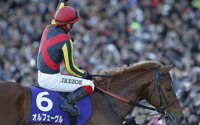 母父オルフェーヴルに要注目！フィリーズレビューにも期待の重賞馬参戦