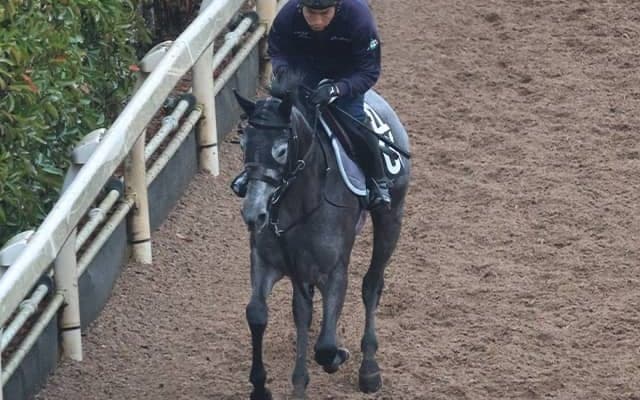 名牝クロノジェネシスの半妹デビュー 北村友一騎手と勝利なるか