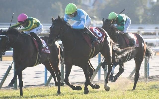 【阪神大賞典想定馬・騎手】ブローザホーン、ディープボンドなど15頭