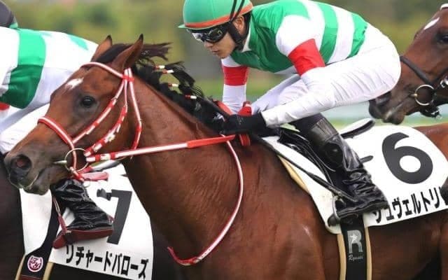 リスグラシューの初仔が約5カ月ぶり復帰 2戦目で初勝利なるか