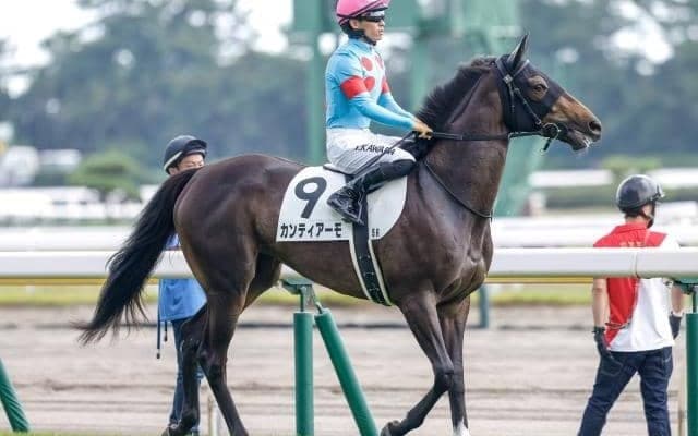 【フラワーC想定馬・騎手】カンティアーモ、ミアネーロなど12頭