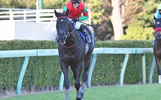 【今日の注目ポイント】中山牝馬Sと阪神SJ 福永祐一厩舎などが初陣