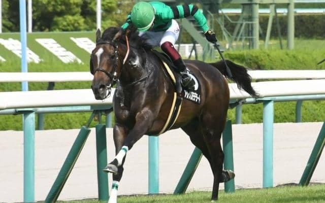 【中山牝馬S予想】過去10年で1番人気わずか1勝 波乱傾向の強いハンデ戦