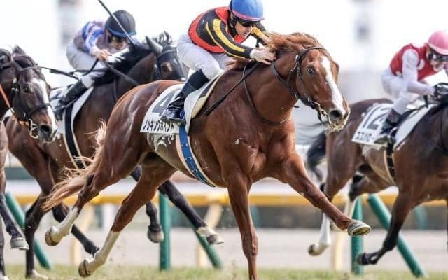 【金鯱賞予想】7年ぶりの菊花賞組に注目！ 明暗を分けるのは前走成績か