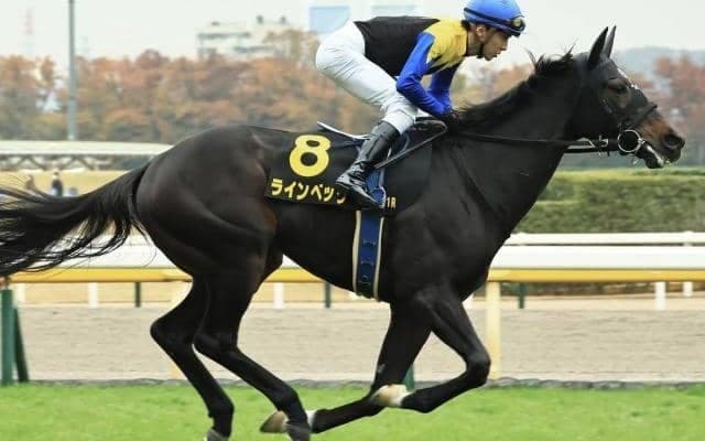 母は三冠牝馬アパパネ 昨年覇者が今年も東風Sに登場