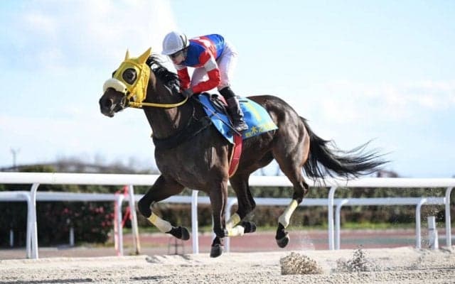 木之前葵騎手がレディスジョッキーズシリーズ優勝…「絶対に勝ちたかった」