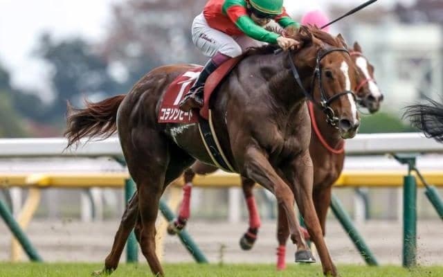 【フィリーズレビュー予想】桜花賞への切符をかけた一戦 内回り1400mのトリッキーなコースが勝負のカギ