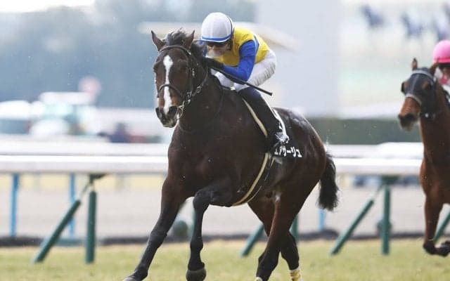 金鯱賞は１番人気の信頼度が絶大も波乱含み 穴党記者推奨の伏兵２頭が今年も高配当を運んでくるか