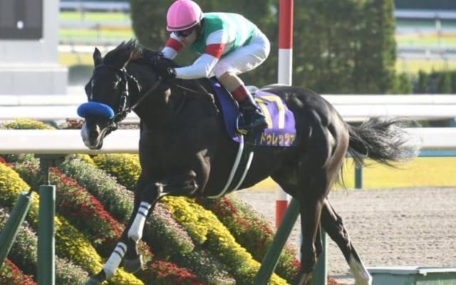 【今日の注目ポイント】中京で金鯱賞と阪神でフィリーズレビュー