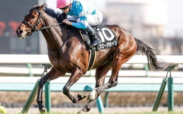 天皇賞(春)の前哨戦・阪神大賞典など4重賞/今週の競馬界の見どころ