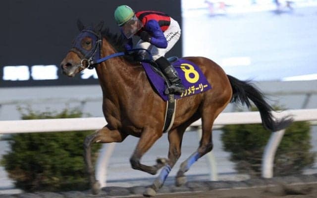 【高知・土佐春花賞】単勝1.0倍シンメデージーが無傷の５連勝…吉原「手前を替えてしっかり反応」