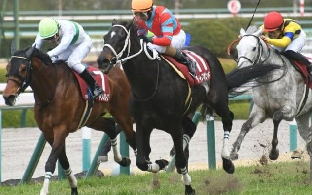 【阪神大賞典見どころ】今年こそGI初制覇を狙うディープボンド