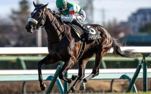 【スプリングS見どころ】無敗のシックスペンスが主力