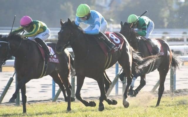 阪神大賞典想定騎手15頭 ブローザホーンは菅原明良騎手、サヴォーナは池添謙一騎手など