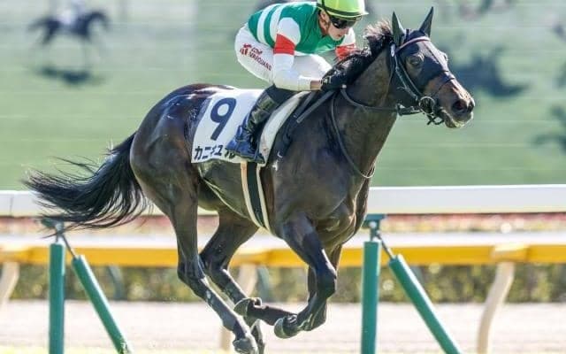 フラワーC想定騎手13頭 カニキュルは戸崎圭太騎手、カンティアーモはC.ルメール騎手など