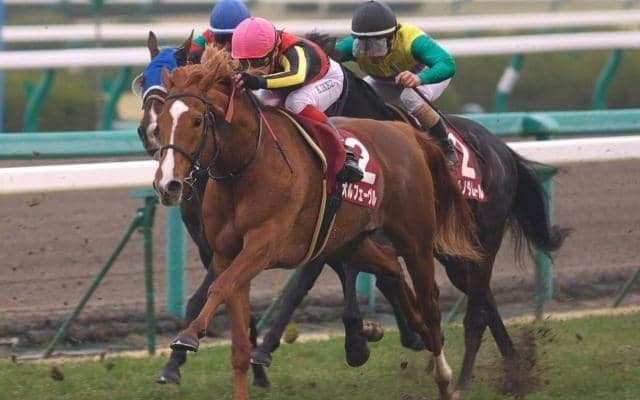 “異端の三冠馬”が阪神大賞典で見せた怪物ぶり 致命的ロスから勝利へあと一歩の大激走