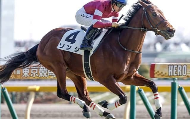 ウマ娘・藤田晋オーナー所有のソンシ 3歳マイル王目指しファルコンSで重賞初参戦だ